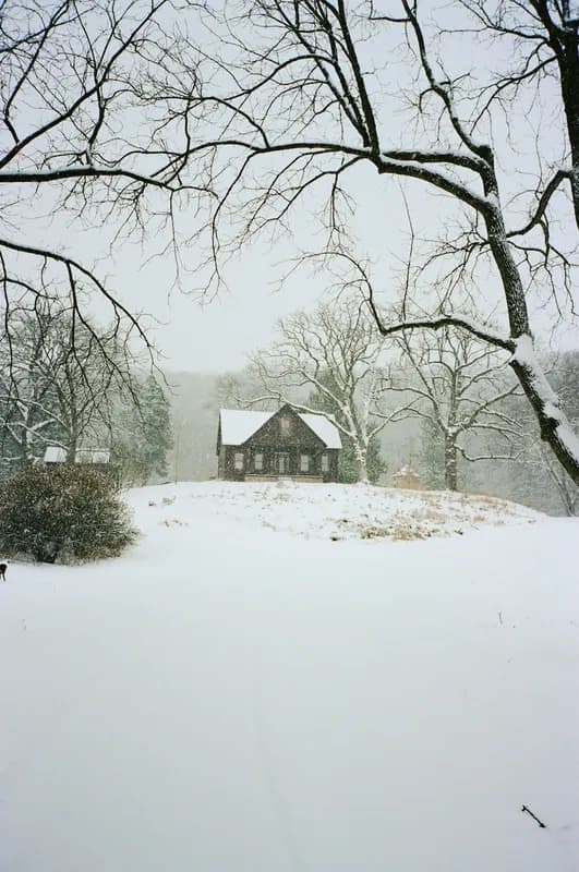 Mindy-Jack 2025 - 170 of 229.jpeg