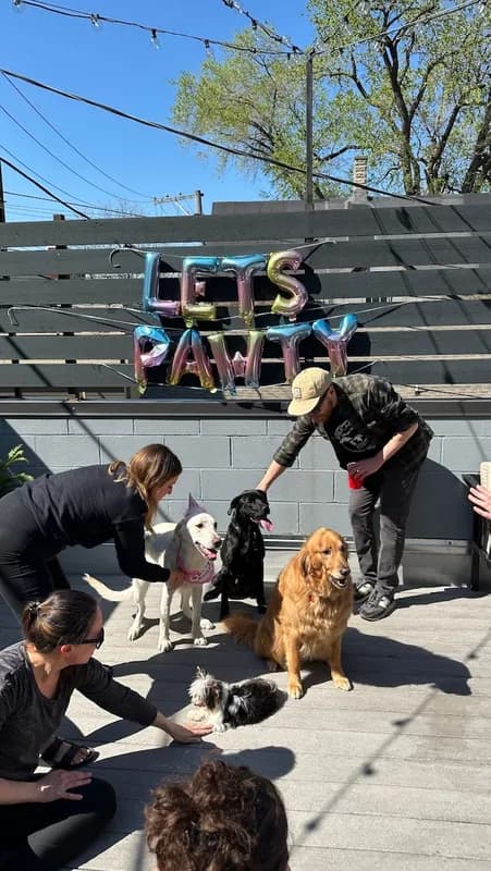 Mindy-Jack 2025 - 19 of 229.jpeg