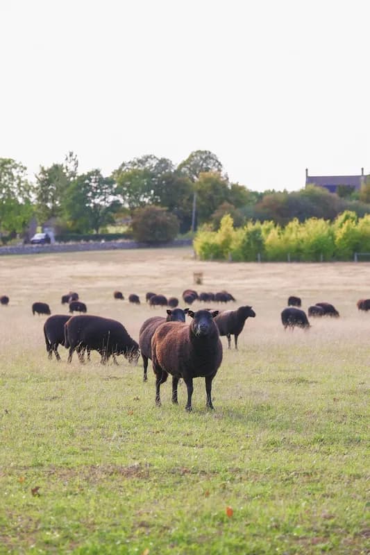 Mindy-Jack 2025 - 129 of 229.jpeg