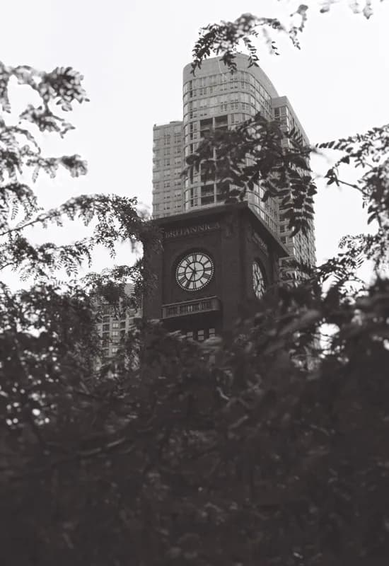 Photograph from the Chicago B&W Film gallery