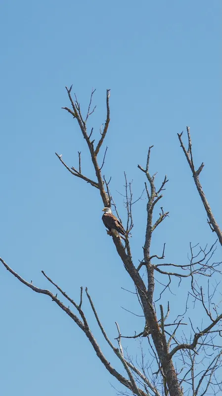 Mindy-Jack 2025 - 47 of 229.jpeg