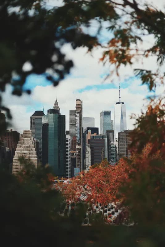 Squibb_Park_Manhattan_View.JPG