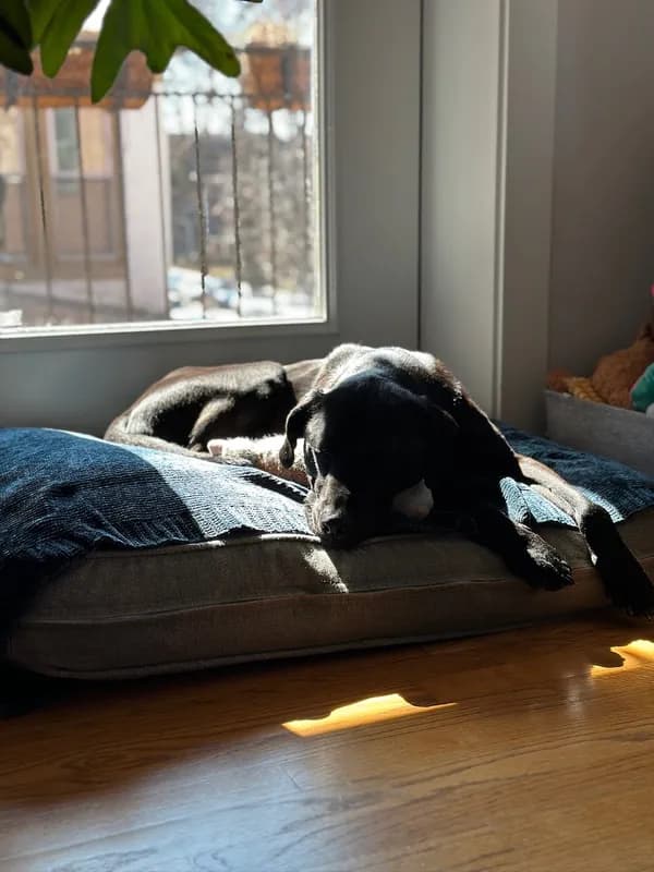 Mindy-Jack 2025 - 7 of 229.jpeg