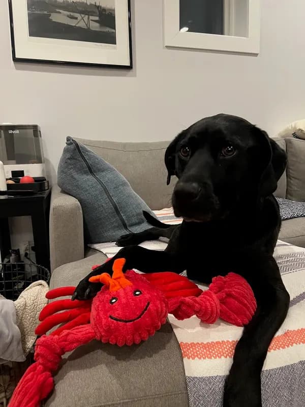 Mindy-Jack 2025 - 96 of 229.jpeg