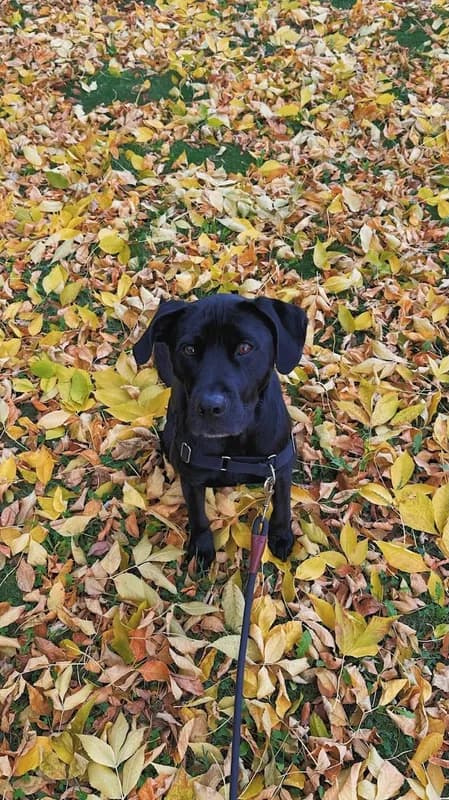 Mindy-Jack 2025 - 167 of 229.jpeg