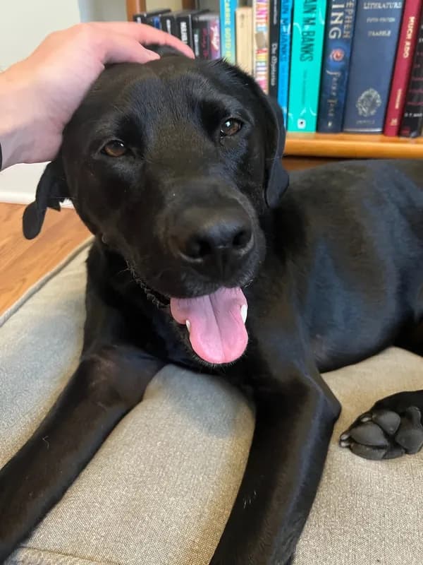 Mindy-Jack 2025 - 161 of 229.jpeg