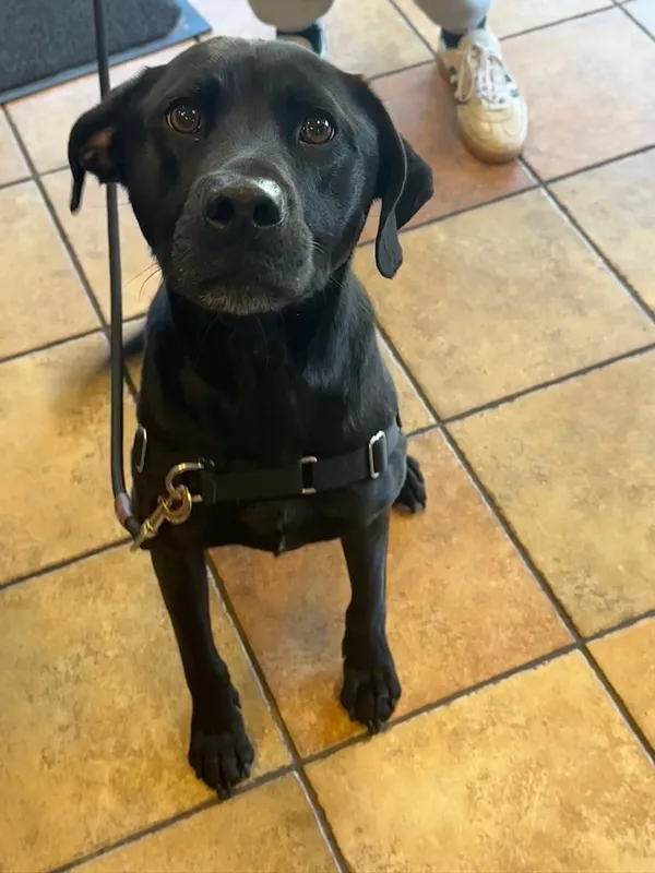 Mindy-Jack 2025 - 15 of 229.jpeg