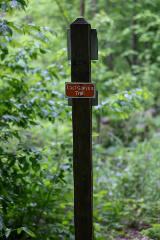 Mindy-Jack 2025 - 33 of 229.jpeg