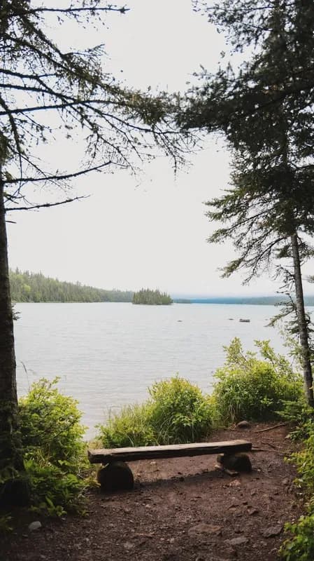 Mindy-Jack 2025 - 180 of 229.jpeg