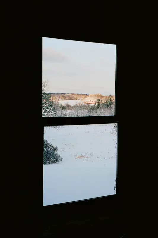 Mindy-Jack 2025 - 171 of 229.jpeg