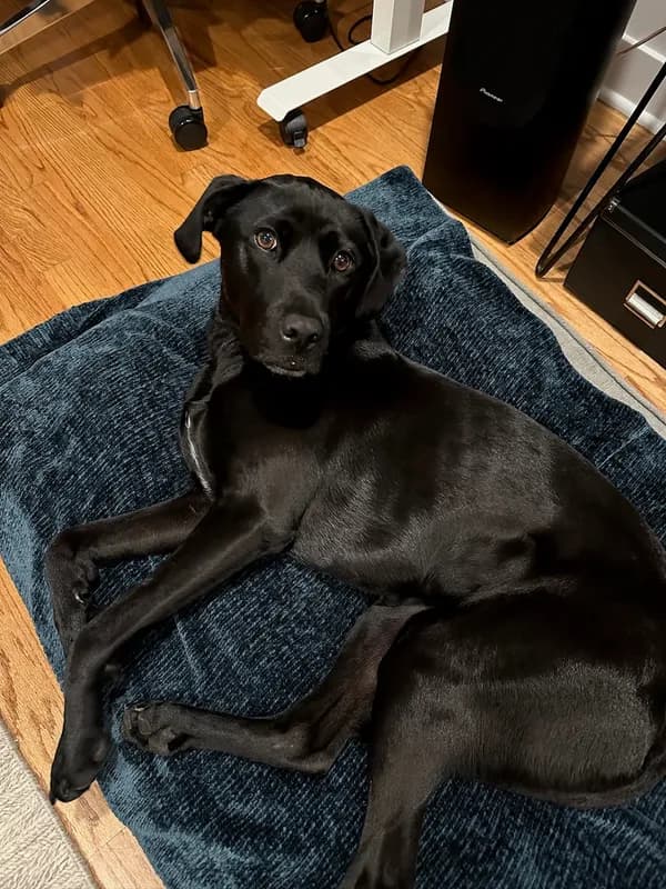 Mindy-Jack 2025 - 16 of 229.jpeg