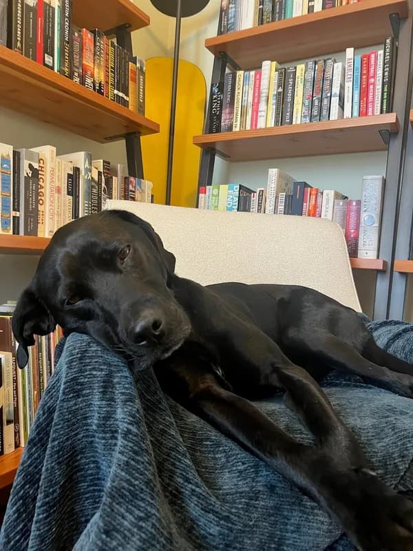 Mindy-Jack 2025 - 160 of 229.jpeg