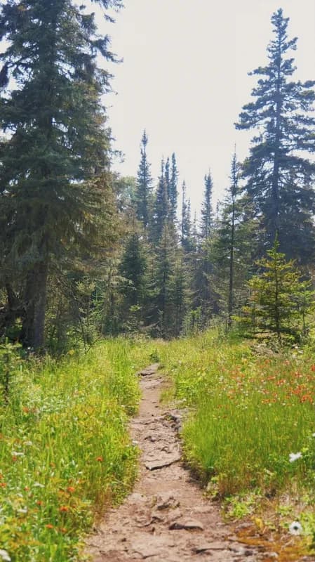 Mindy-Jack 2025 - 189 of 229.jpeg