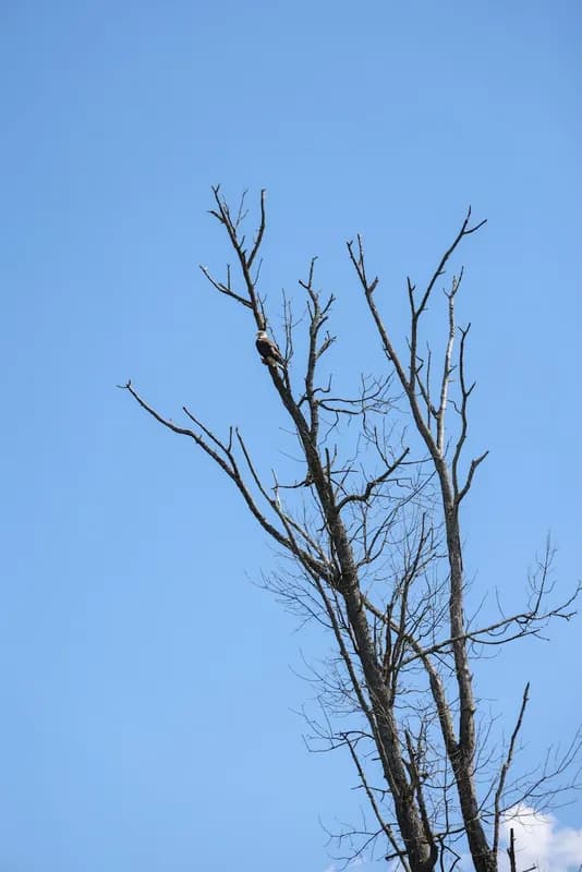 Mindy-Jack 2025 - 38 of 229.jpeg