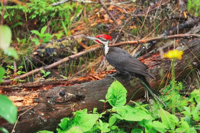 Mindy-Jack 2025 - 226 of 229.jpeg