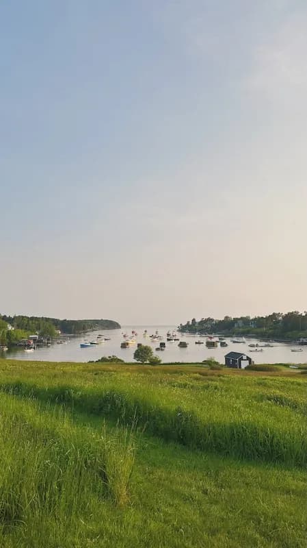 Mindy-Jack 2025 - 76 of 229.jpeg