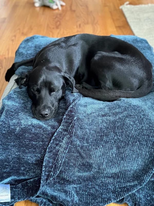 Mindy-Jack 2025 - 225 of 229.jpeg