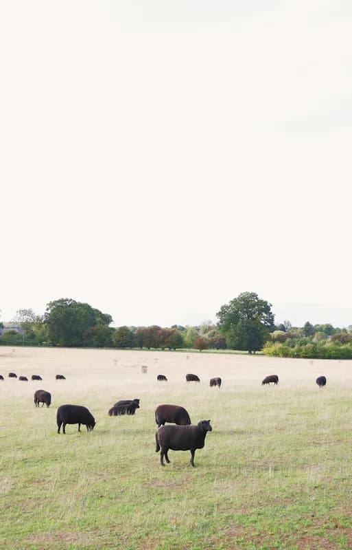 Mindy-Jack 2025 - 130 of 229.jpeg