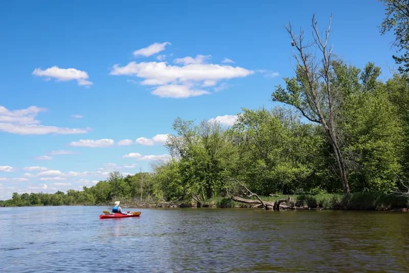 Mindy-Jack 2025 - 39 of 229.jpeg