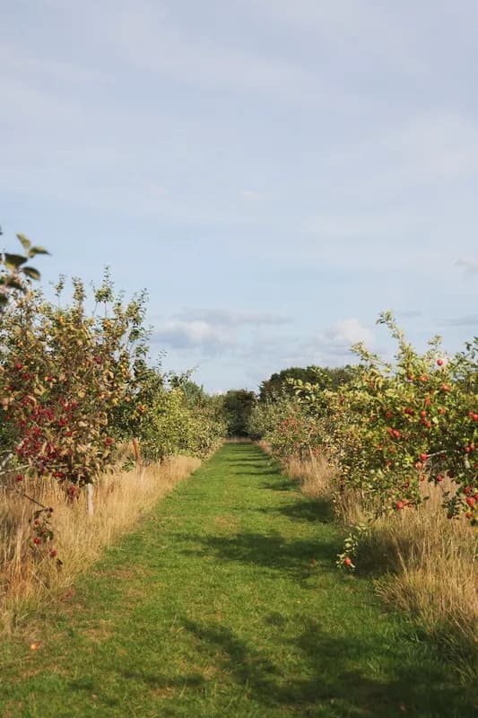 Mindy-Jack 2025 - 127 of 229.jpeg