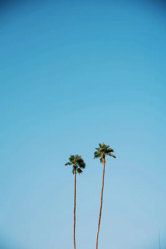 PalmSprings_TwinPalms.jpg