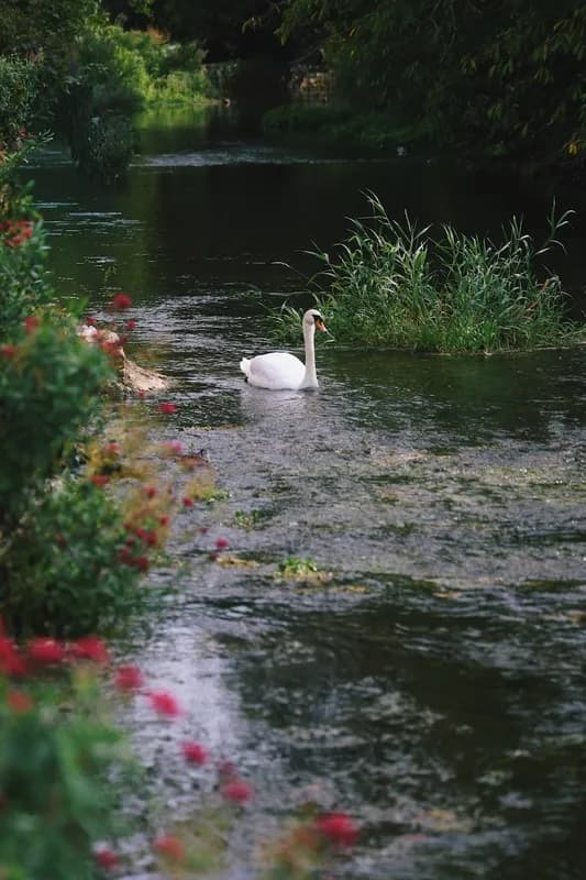 Mindy-Jack 2025 - 119 of 229.jpeg