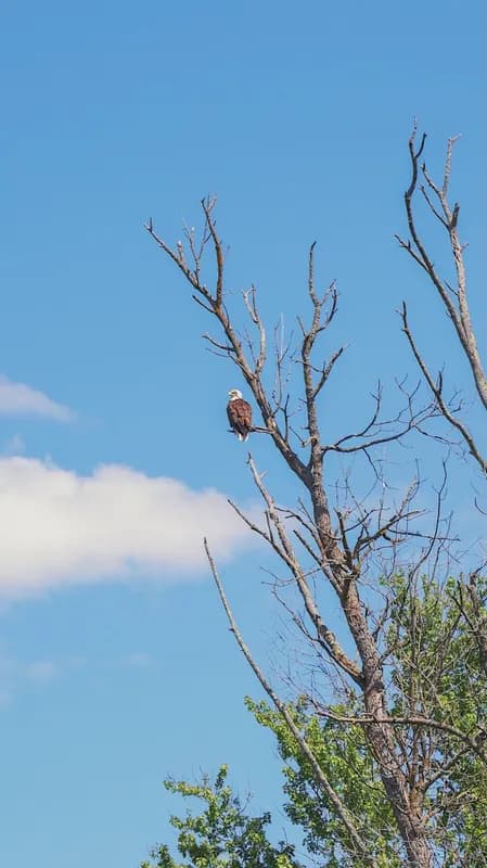 Mindy-Jack 2025 - 48 of 229.jpeg