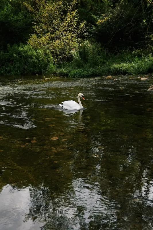 Mindy-Jack 2025 - 120 of 229.jpeg