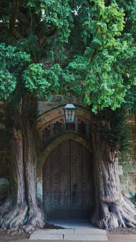 Mindy-Jack 2025 - 114 of 229.jpeg