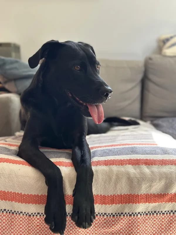 Mindy-Jack 2025 - 106 of 229.jpeg