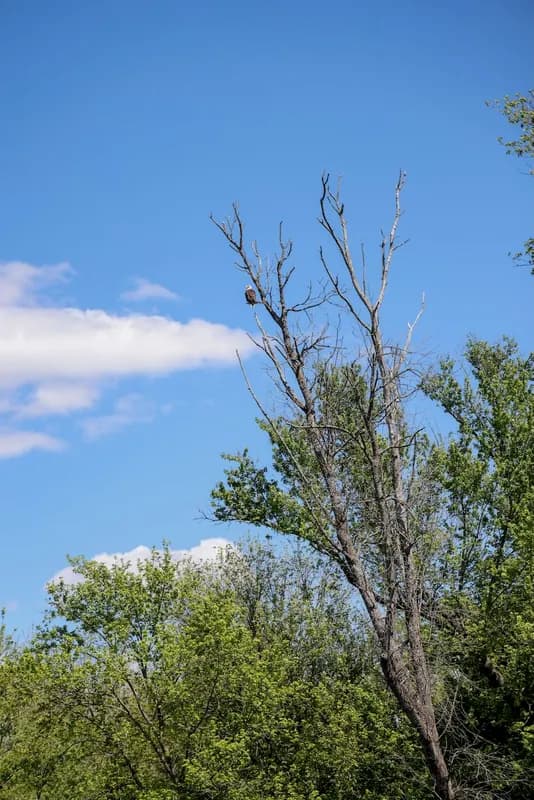 Mindy-Jack 2025 - 40 of 229.jpeg